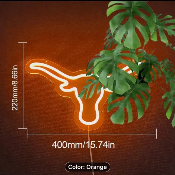 TEXAS LONGHORN NEON LED SIGN - Picture 3 of 3